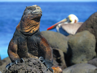 Biodiversity1.jpg